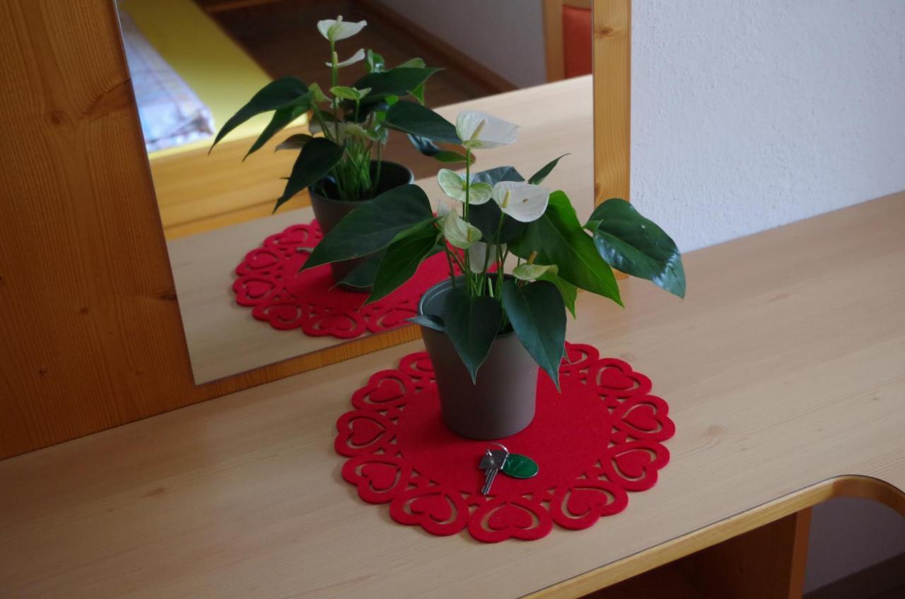 Sonnenkogel Appartement 加尔蒂 外观 照片